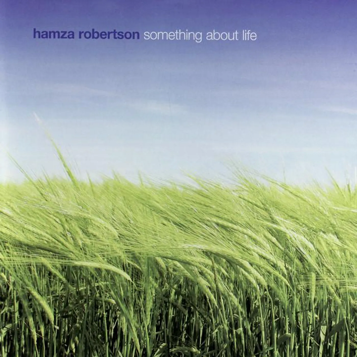 Hamza Robertson Brand Page