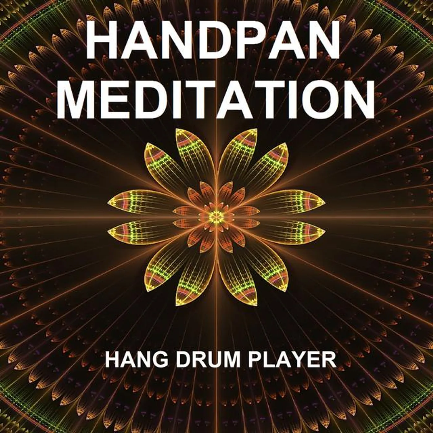 Hang Drum Player