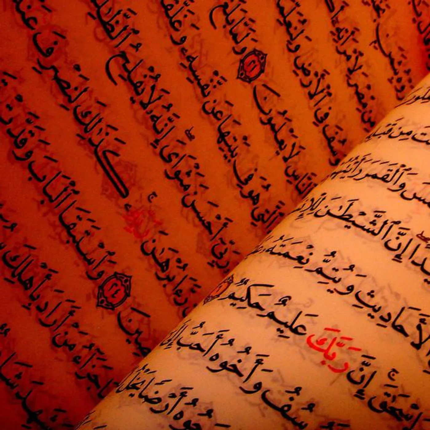 Hani al Rifai