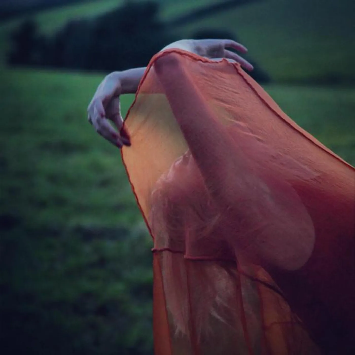 Hannah Curwood
