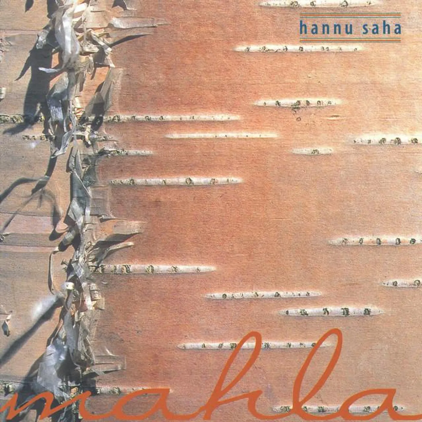 Hannu Saha