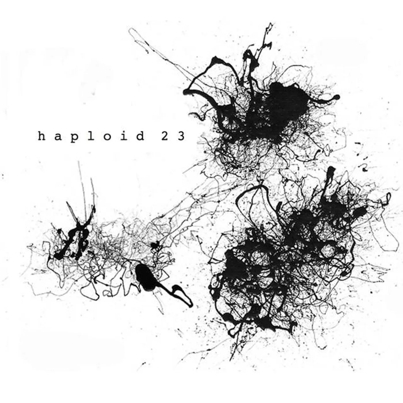 Haploid 23 Brand Page
