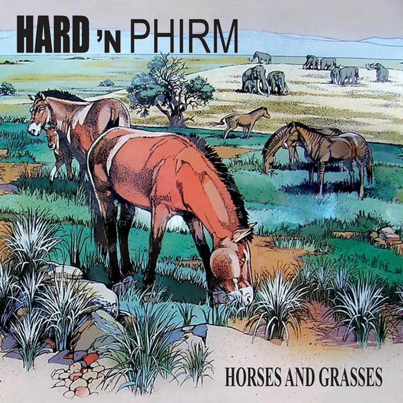Hard 'n Phirm