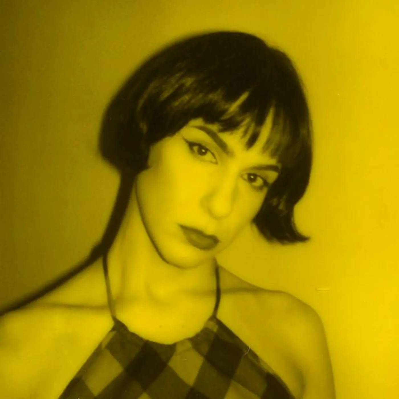 Harlequin Jones