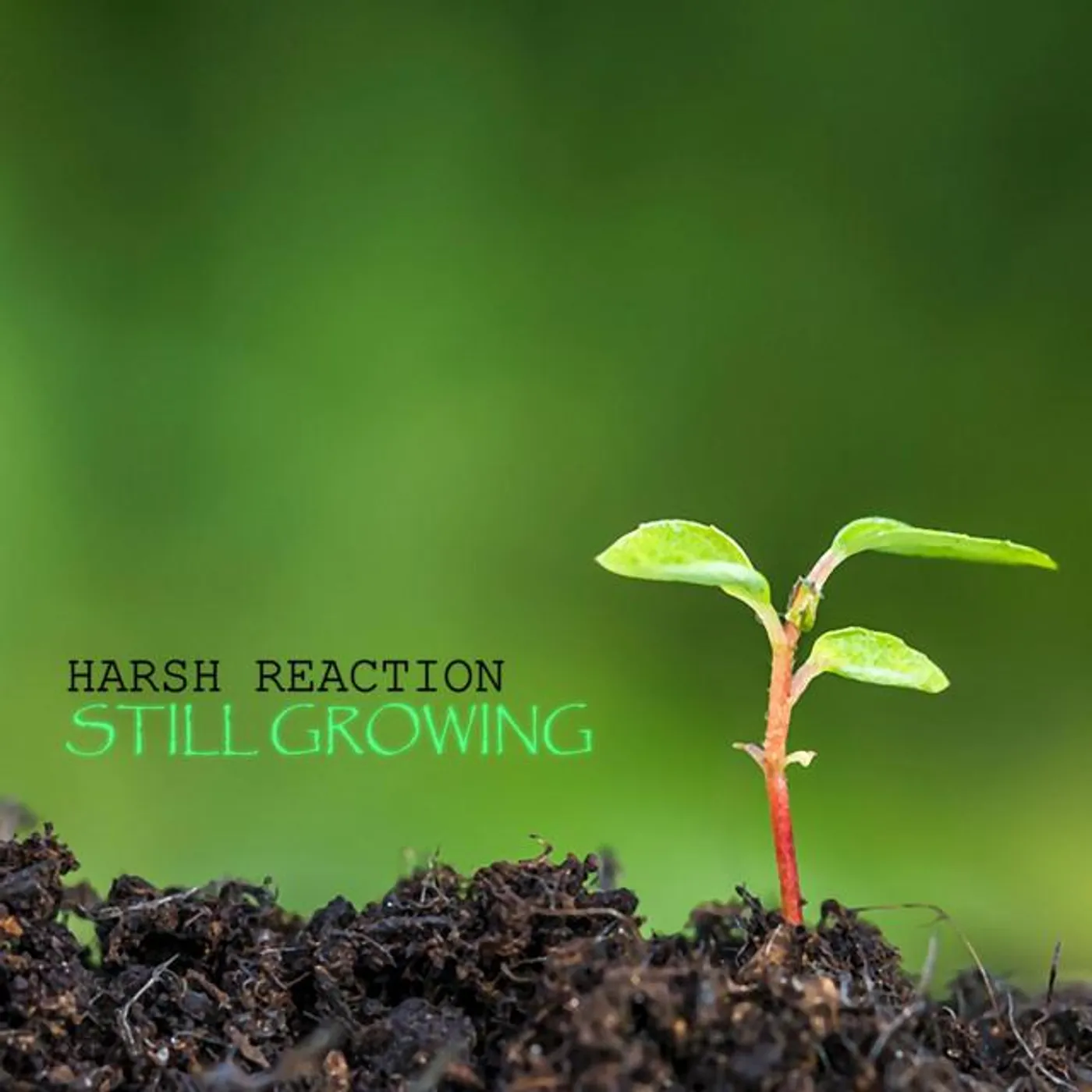 Harsh Reaction Brand Page