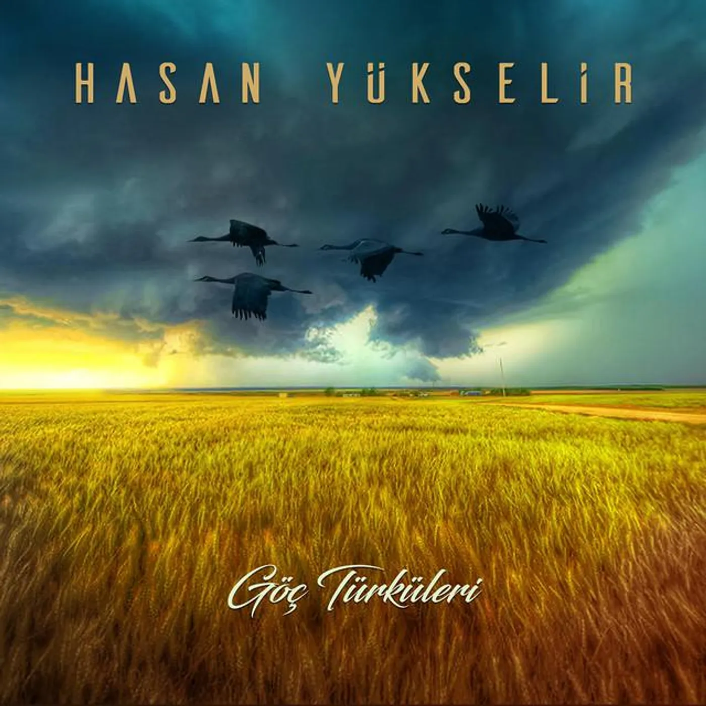 Hasan Yükselir Brand Page