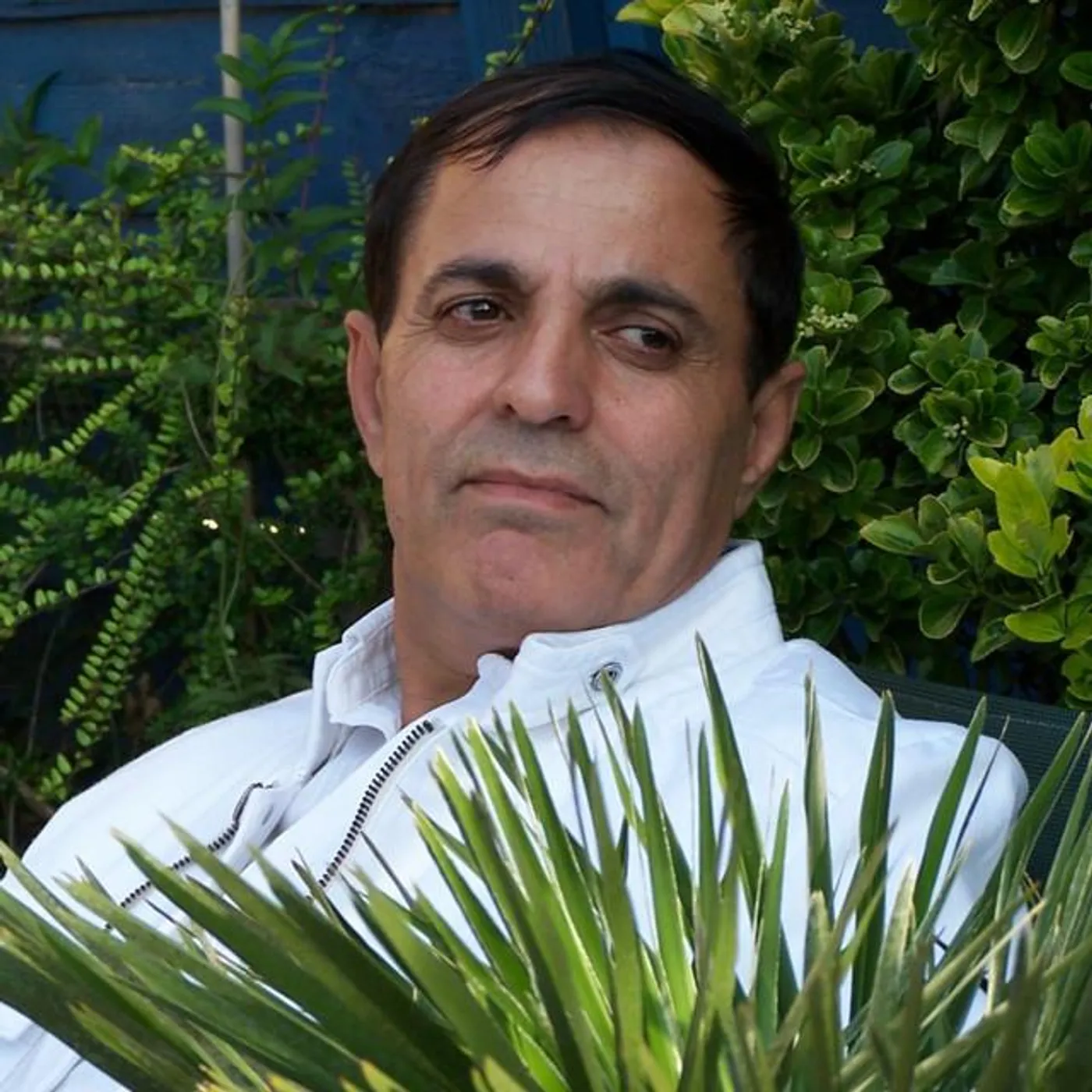 Hassan Darzi