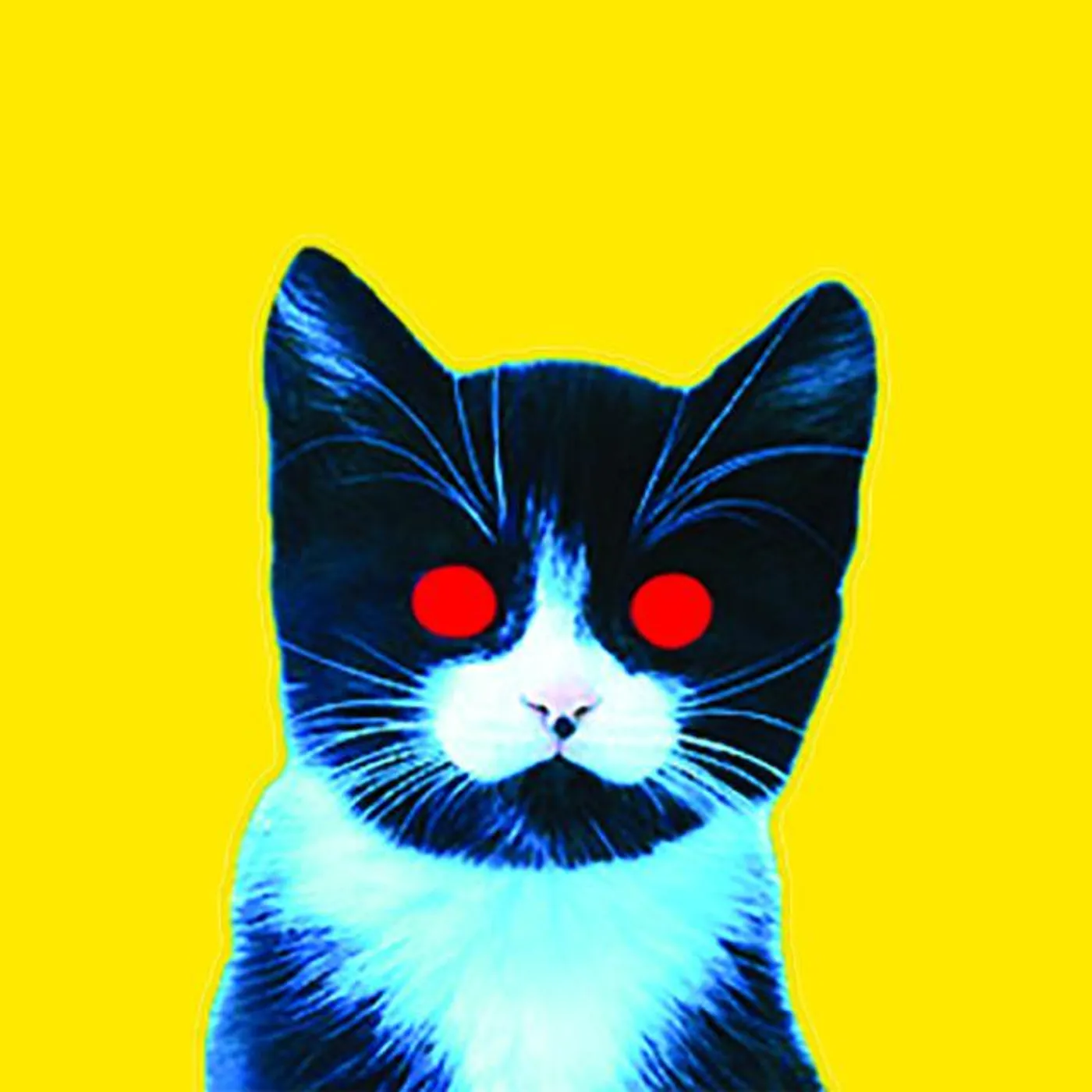 Hey! It's Your Birthday