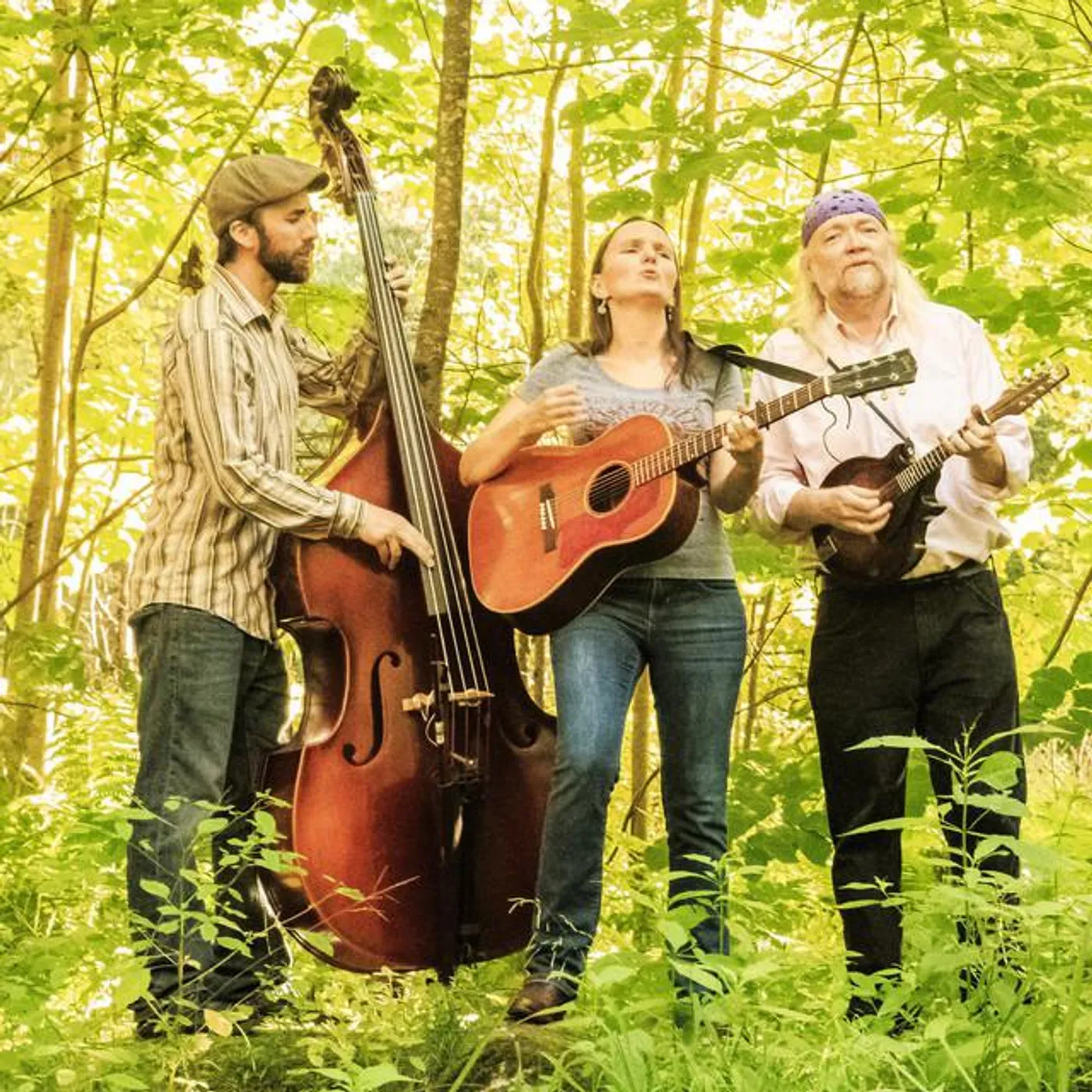 Heather Pierson Acoustic Trio Brand Page