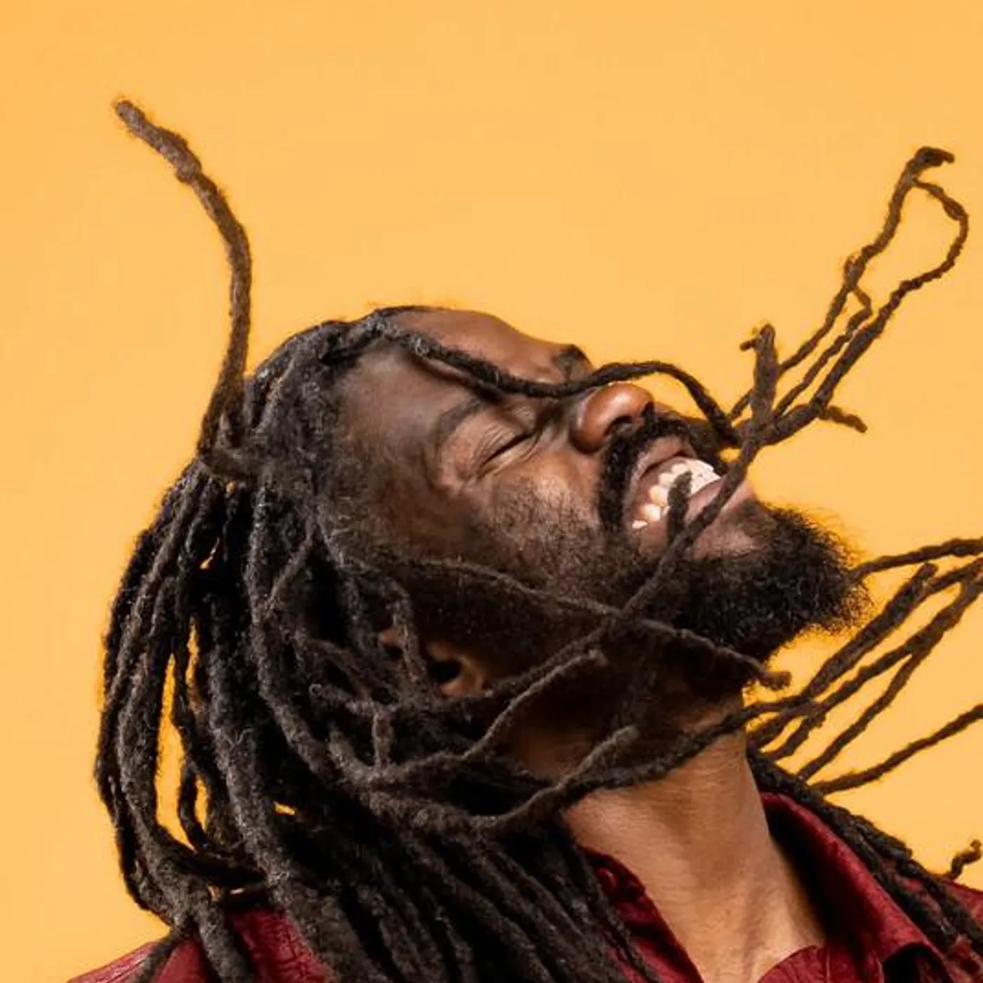 Hector Roots Lewis Brand Page