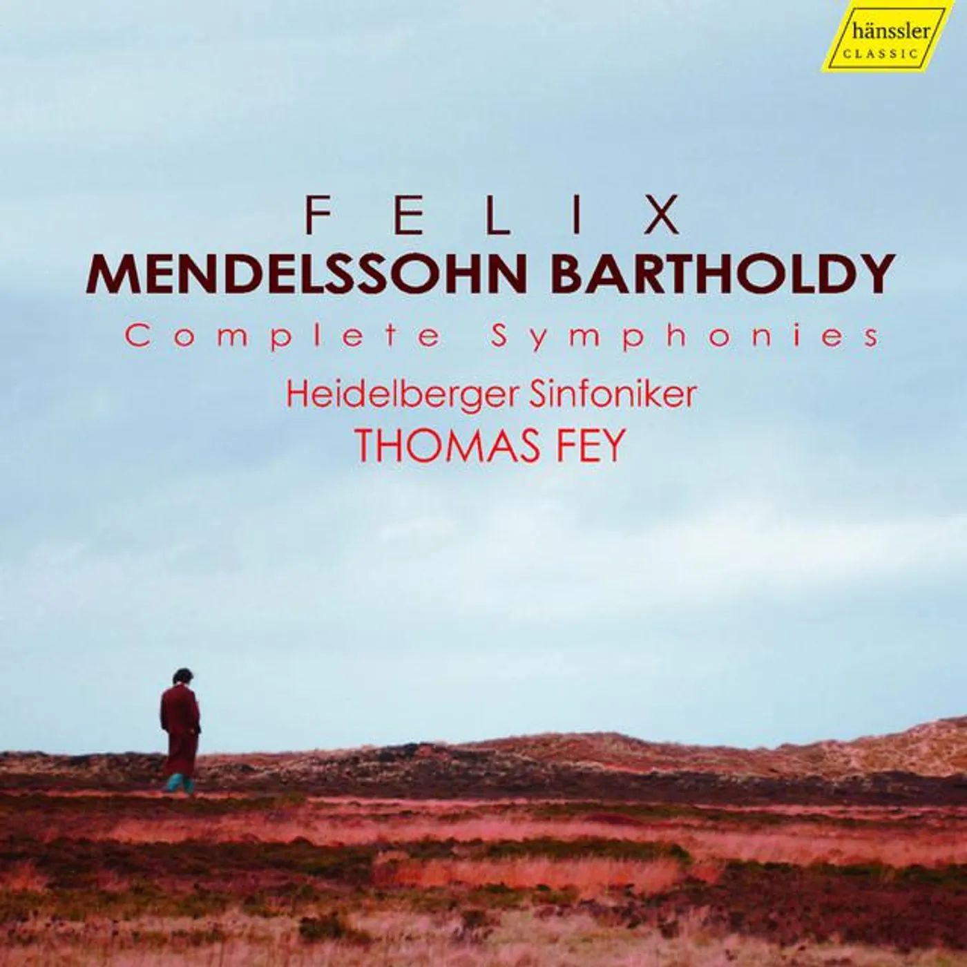 Heidelberg Symphony Orchestra Brand Page