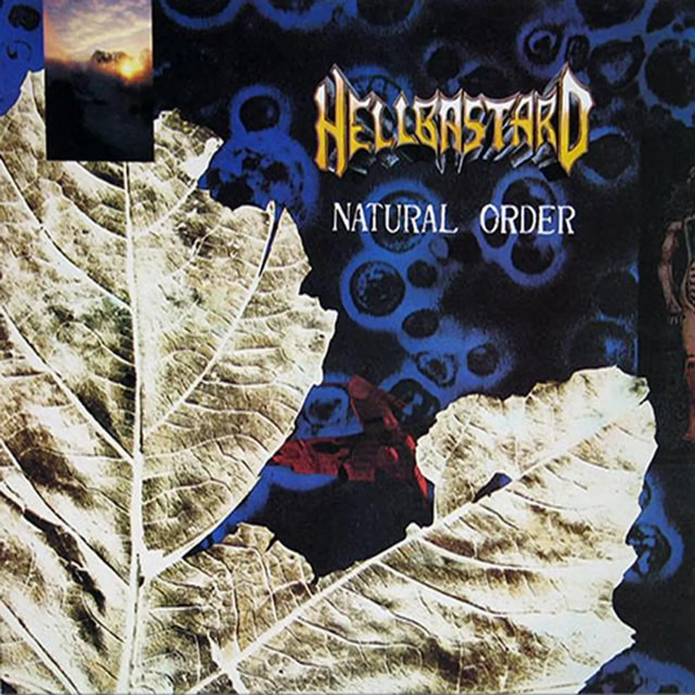 Hellbastard Brand Page