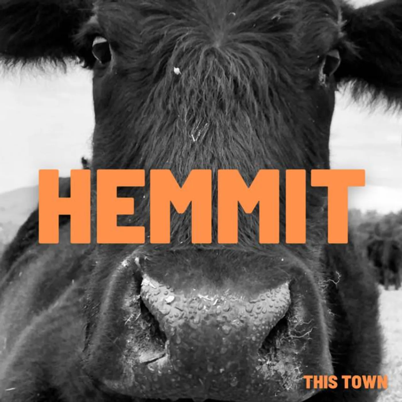 Hemmit