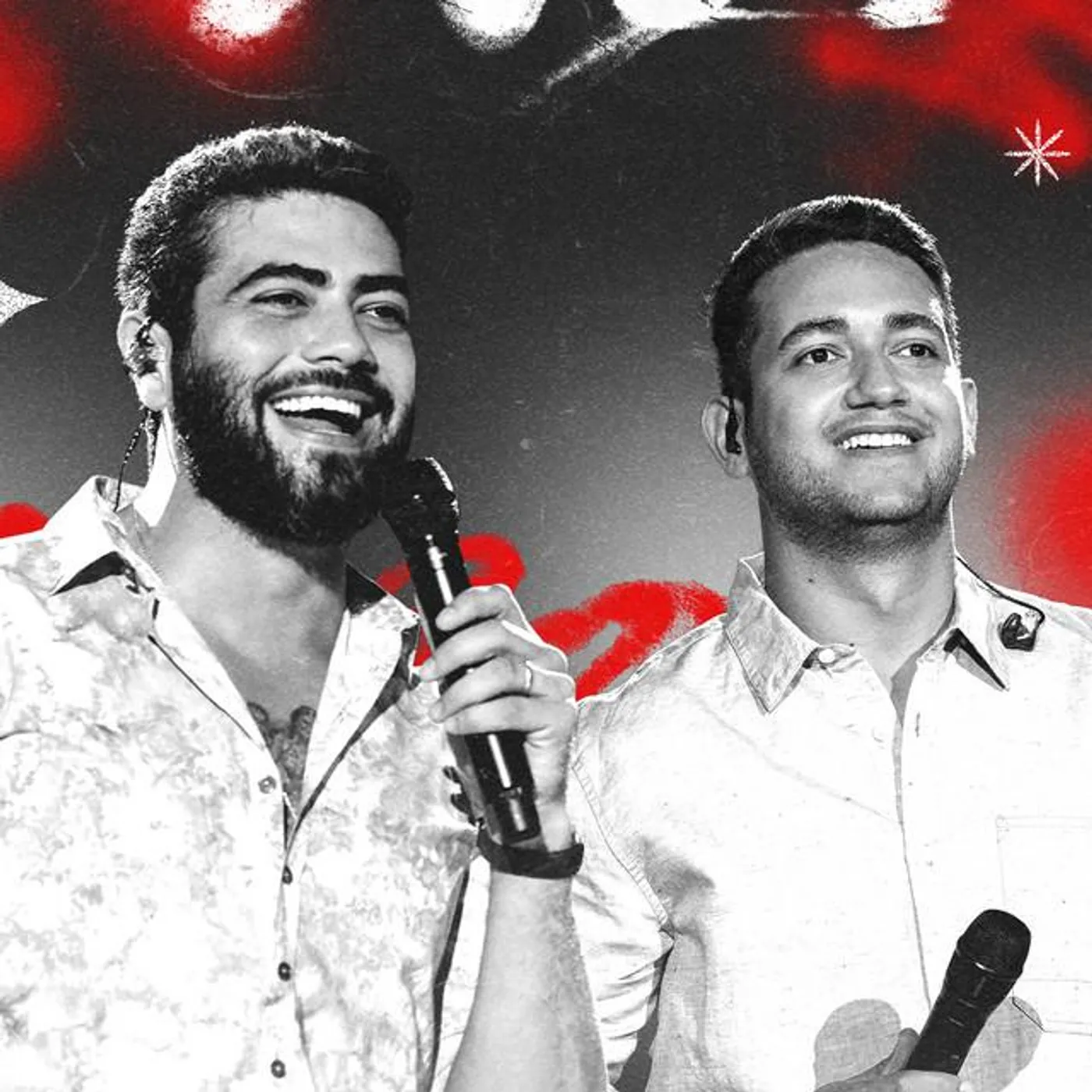 Henrique & Juliano Brand Page