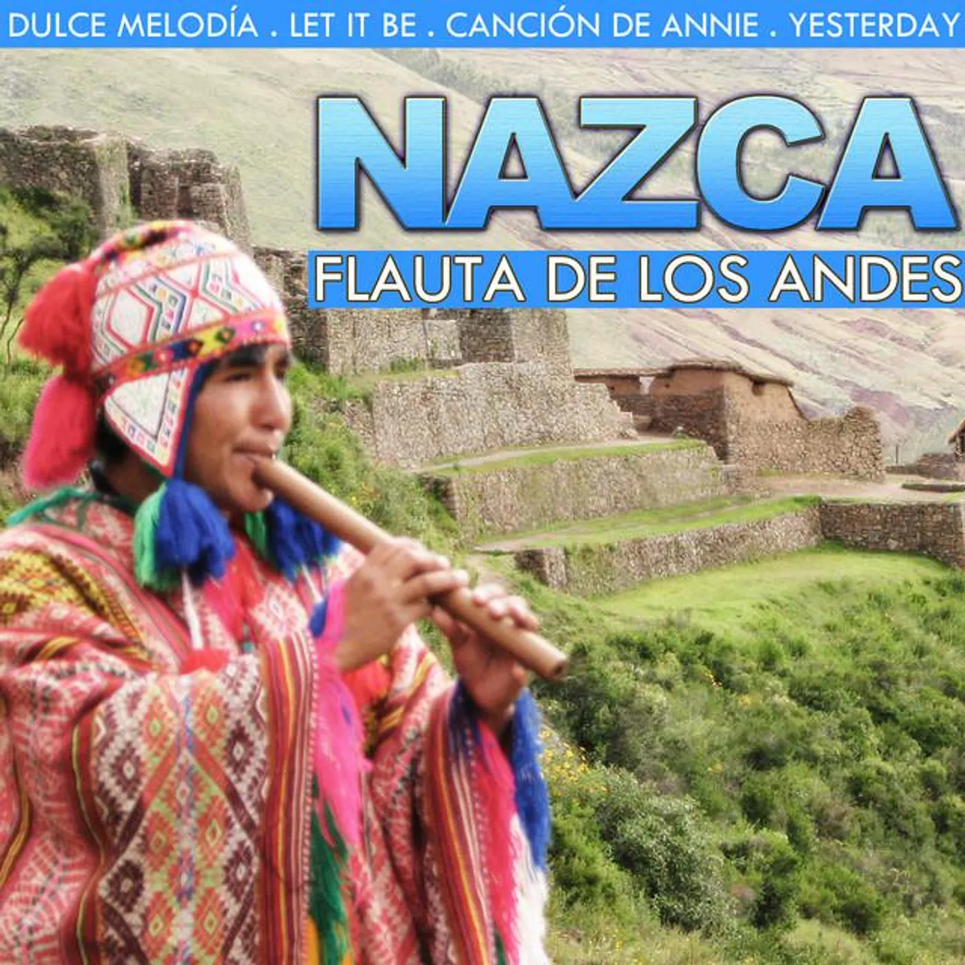 Hermanos Mapuche Chile Folk Brand Page