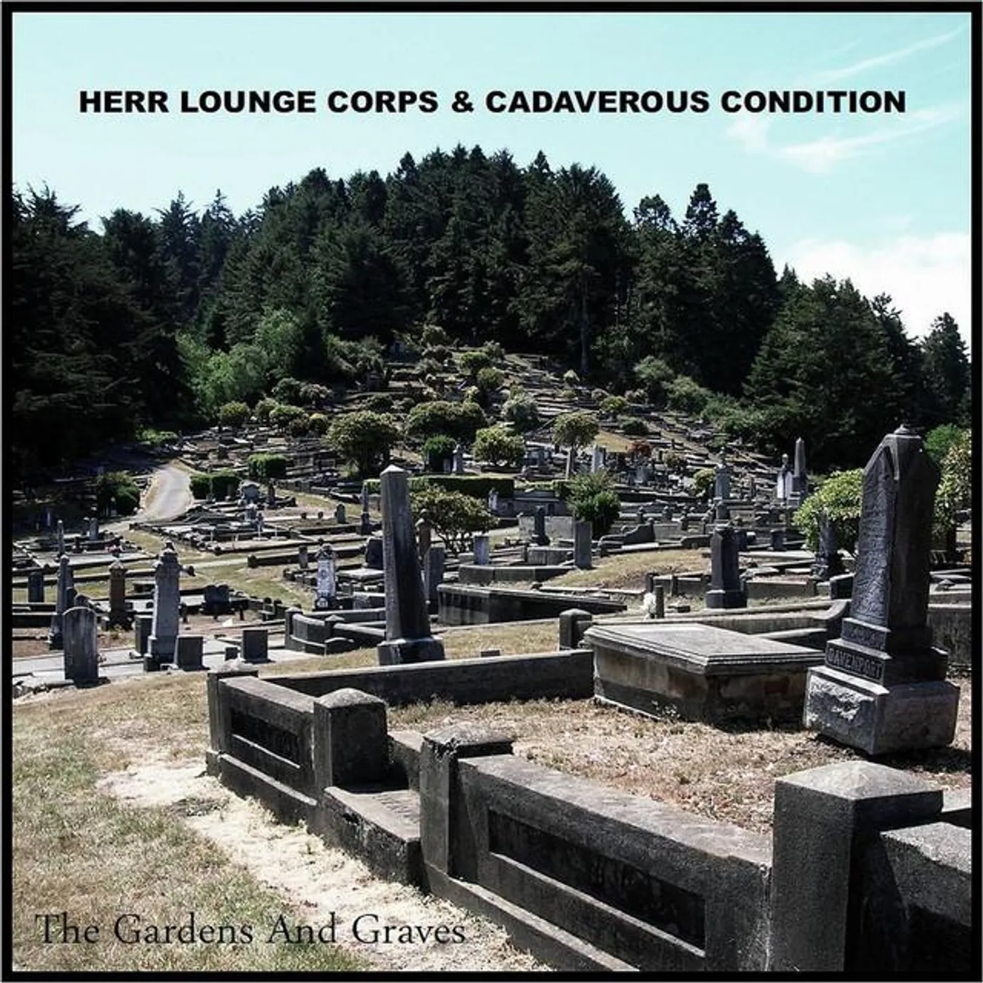 Herr Lounge Corps & Cadaverous Condition