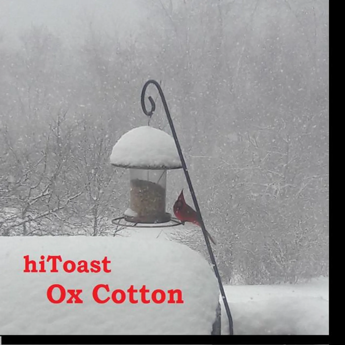 Hitoast