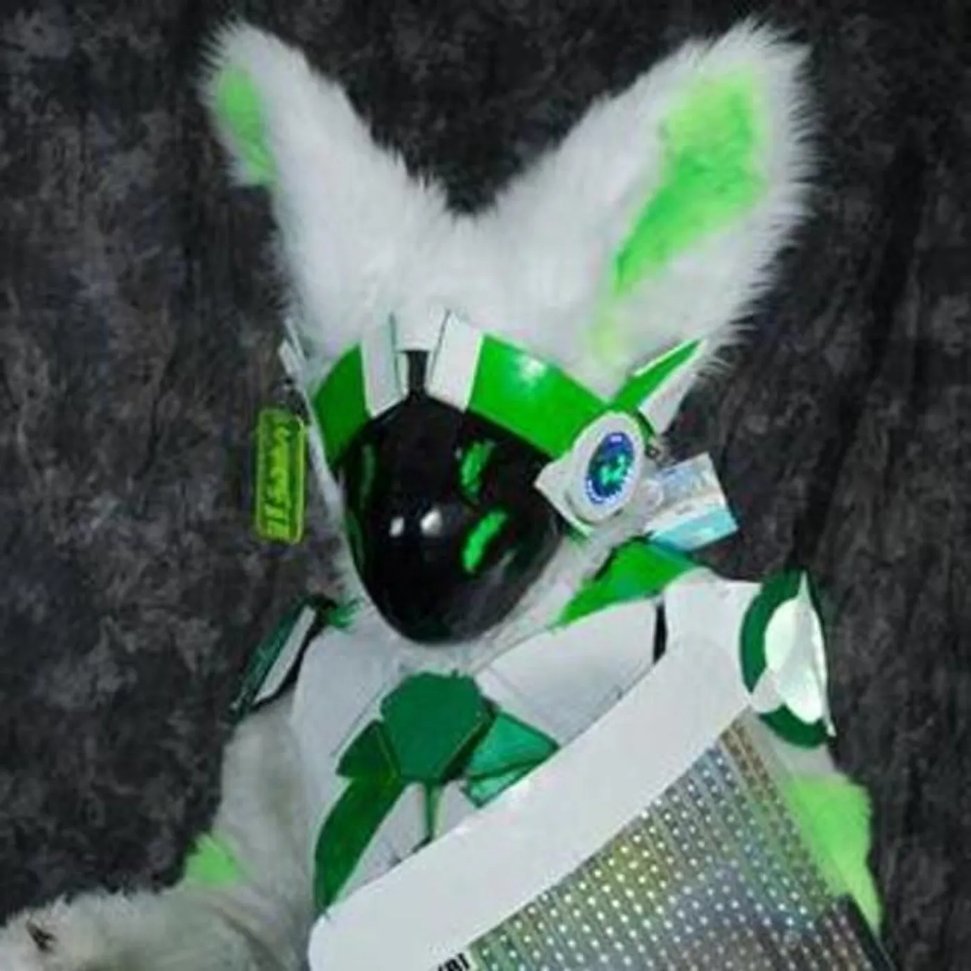 Hixbi Fox Brand Page