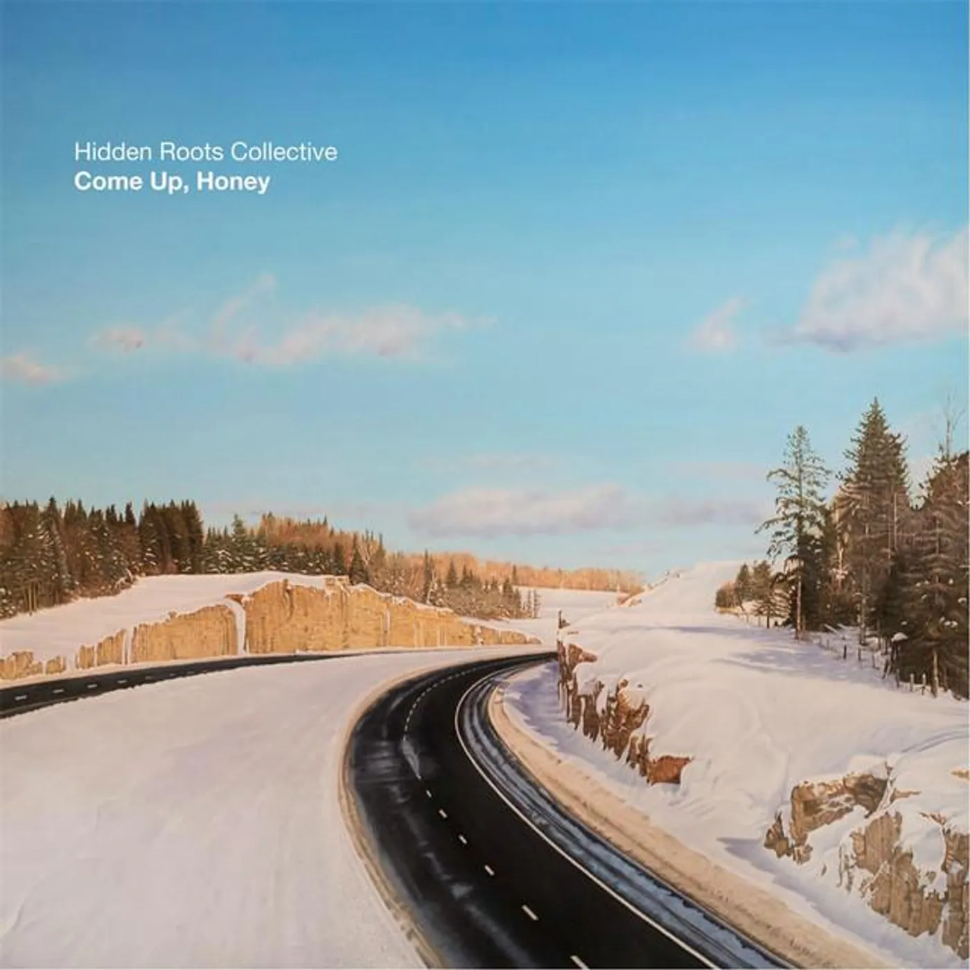 Hidden Roots Collective