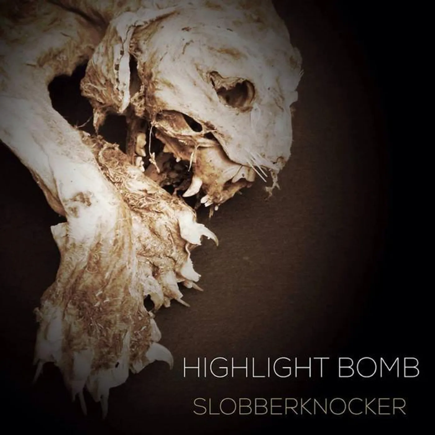 Highlight Bomb Brand Page