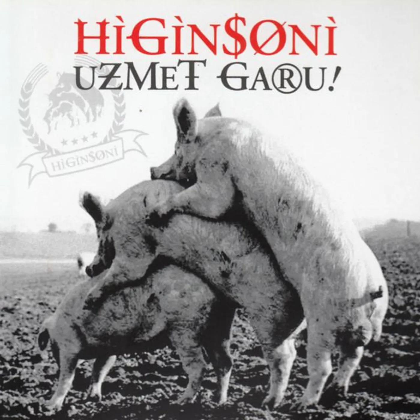 Higinsoni