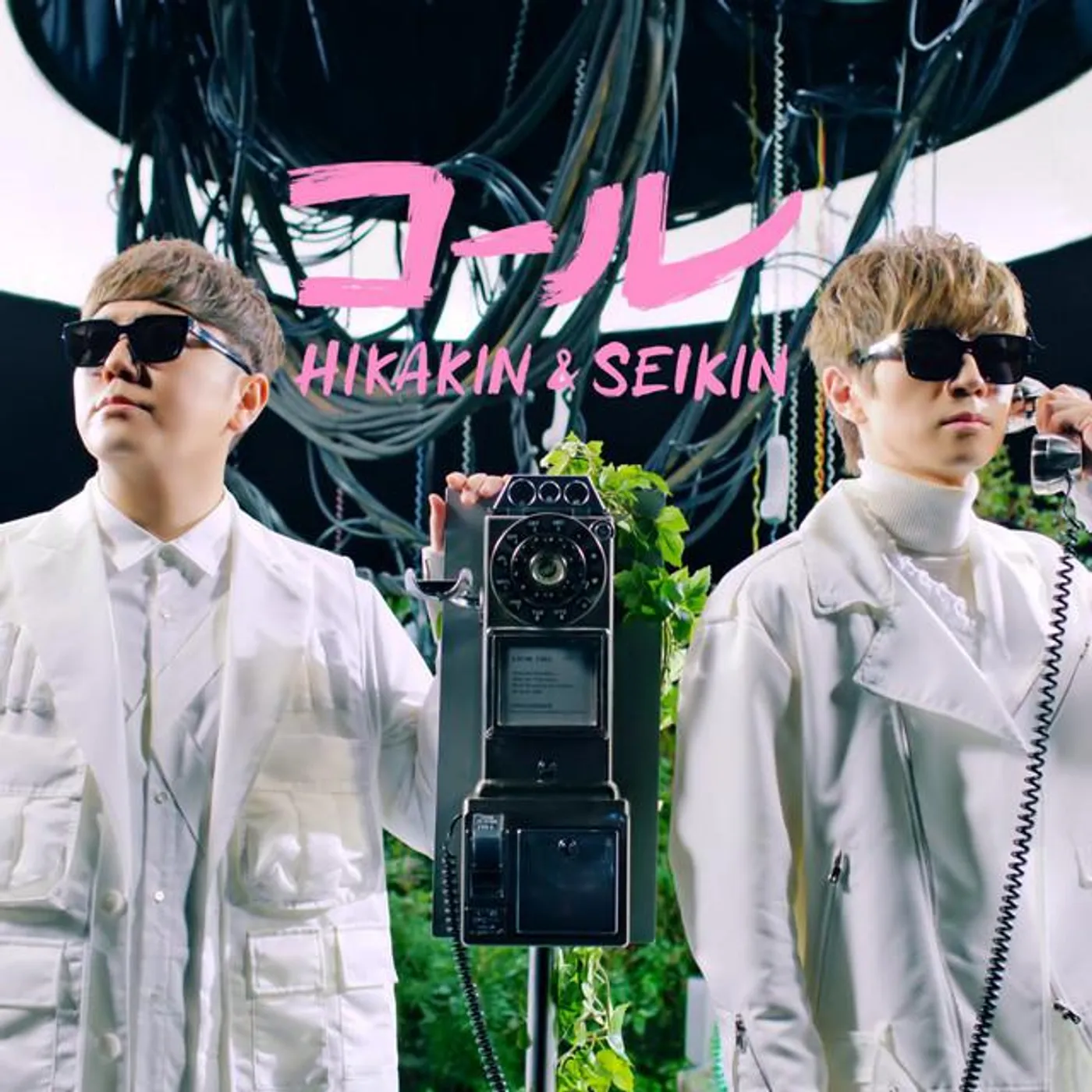 HIKAKIN & SEIKIN