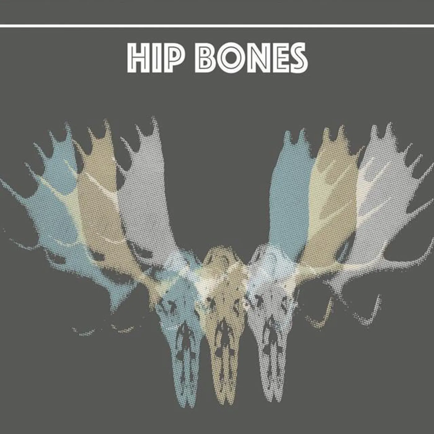 Hip Bones