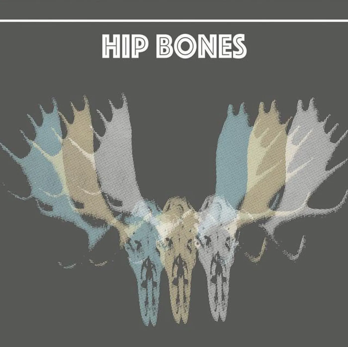 Hip Bones