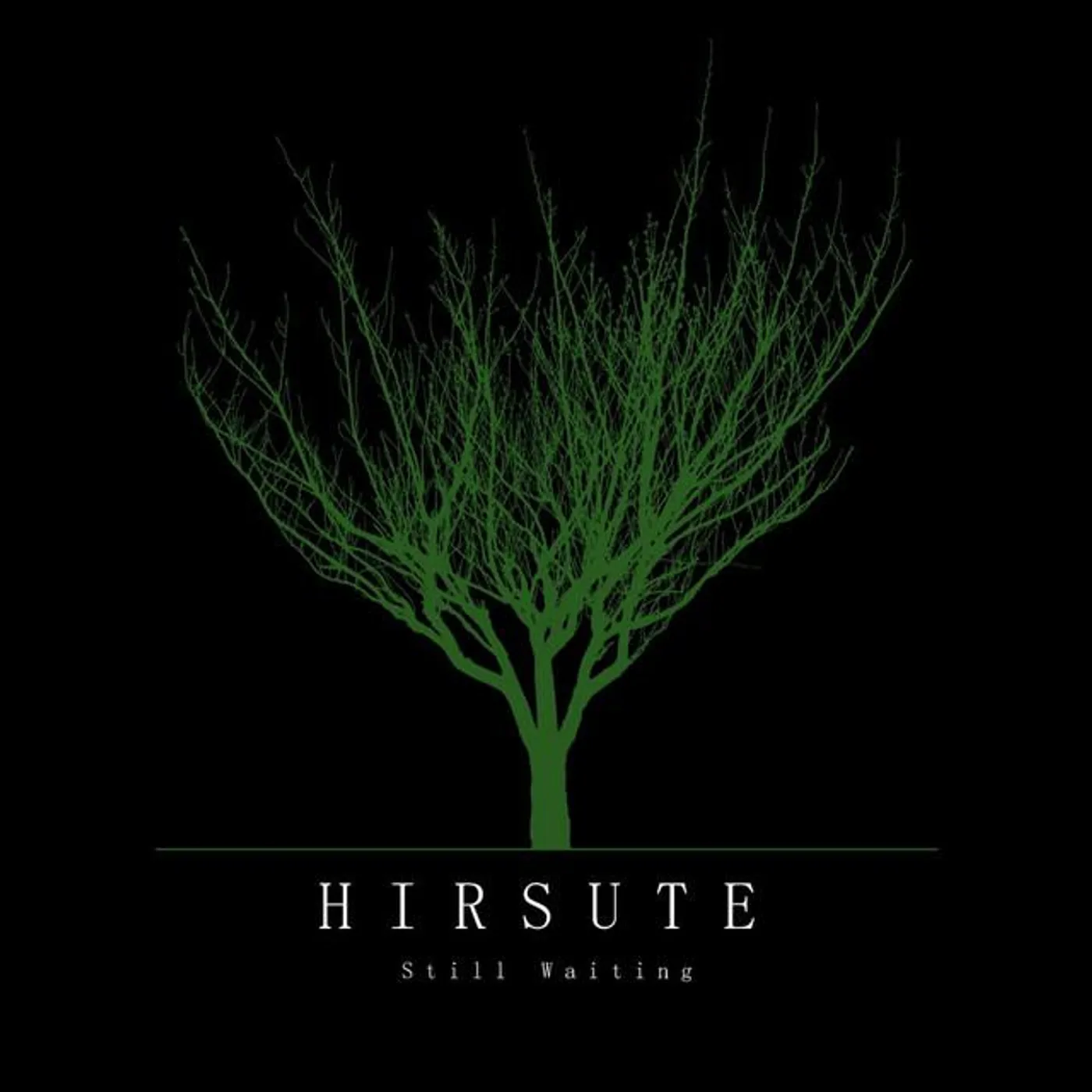 Hirsute