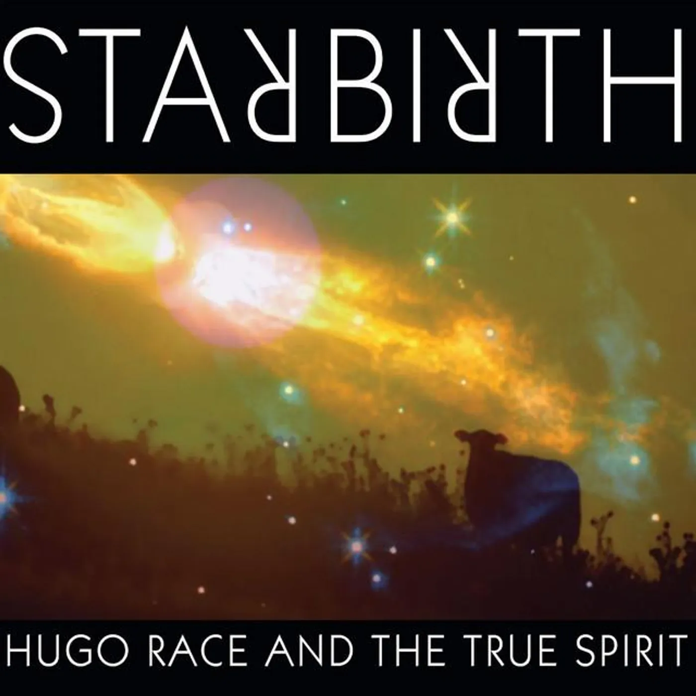 Hugo Race & The True Spirit