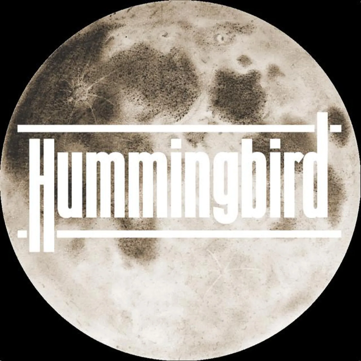 Hummingbird