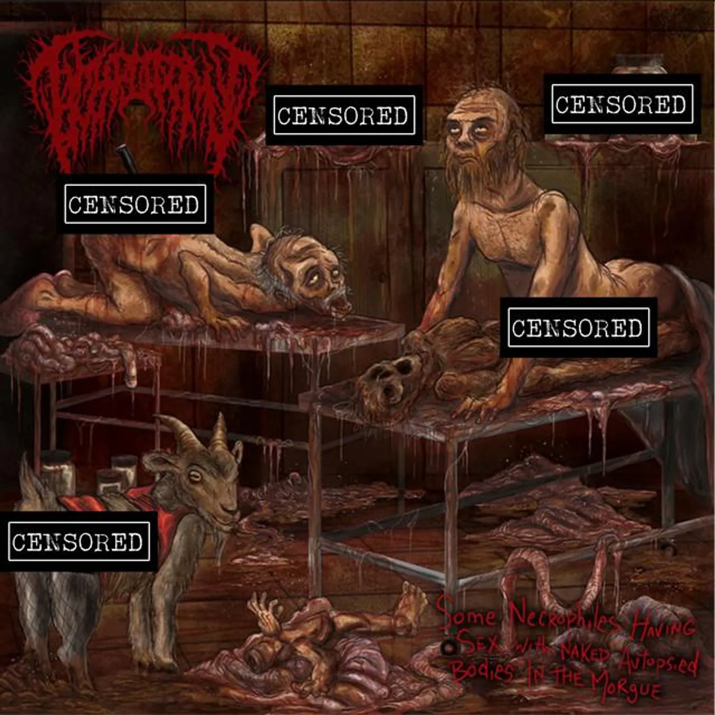 Hymenotomy