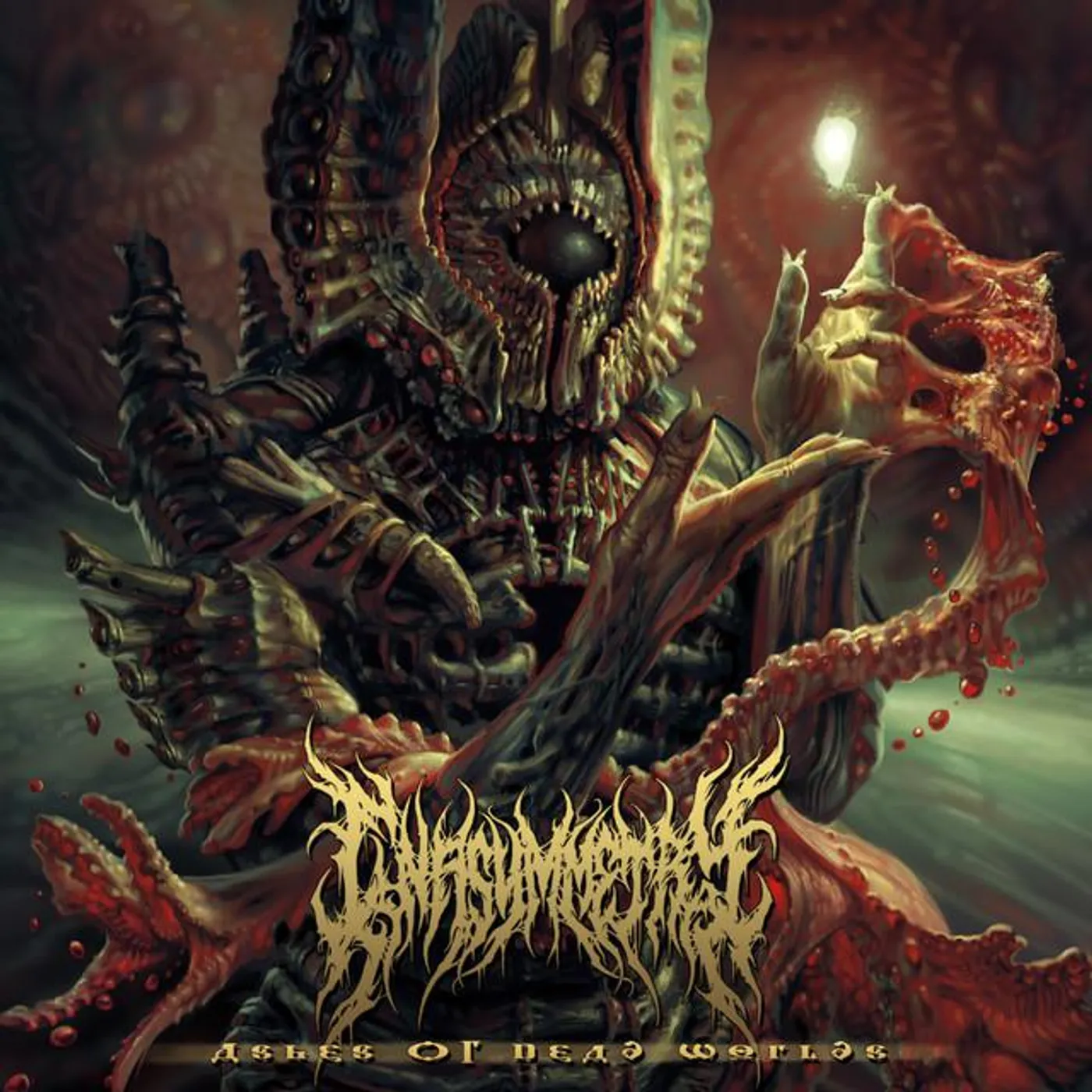 In Asymmetry Brand Page