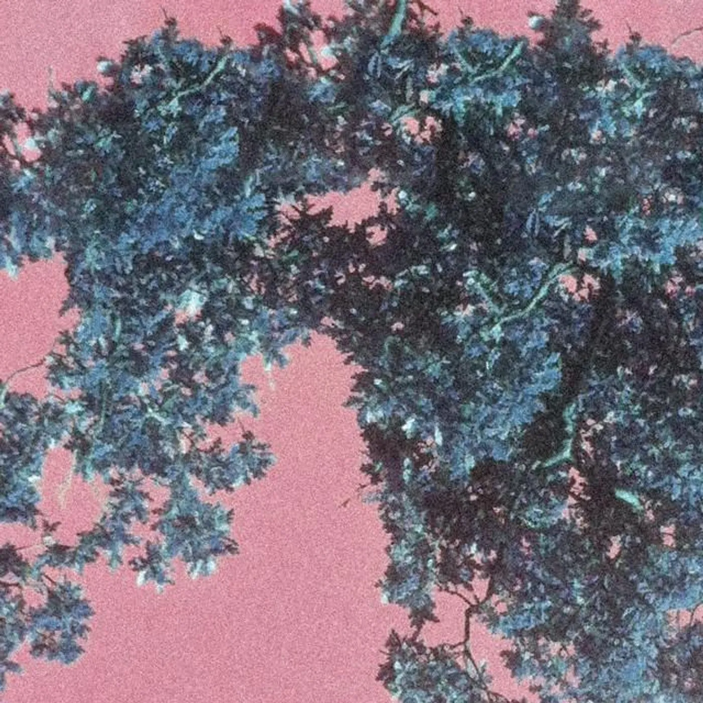 In Autumnus Brand Page