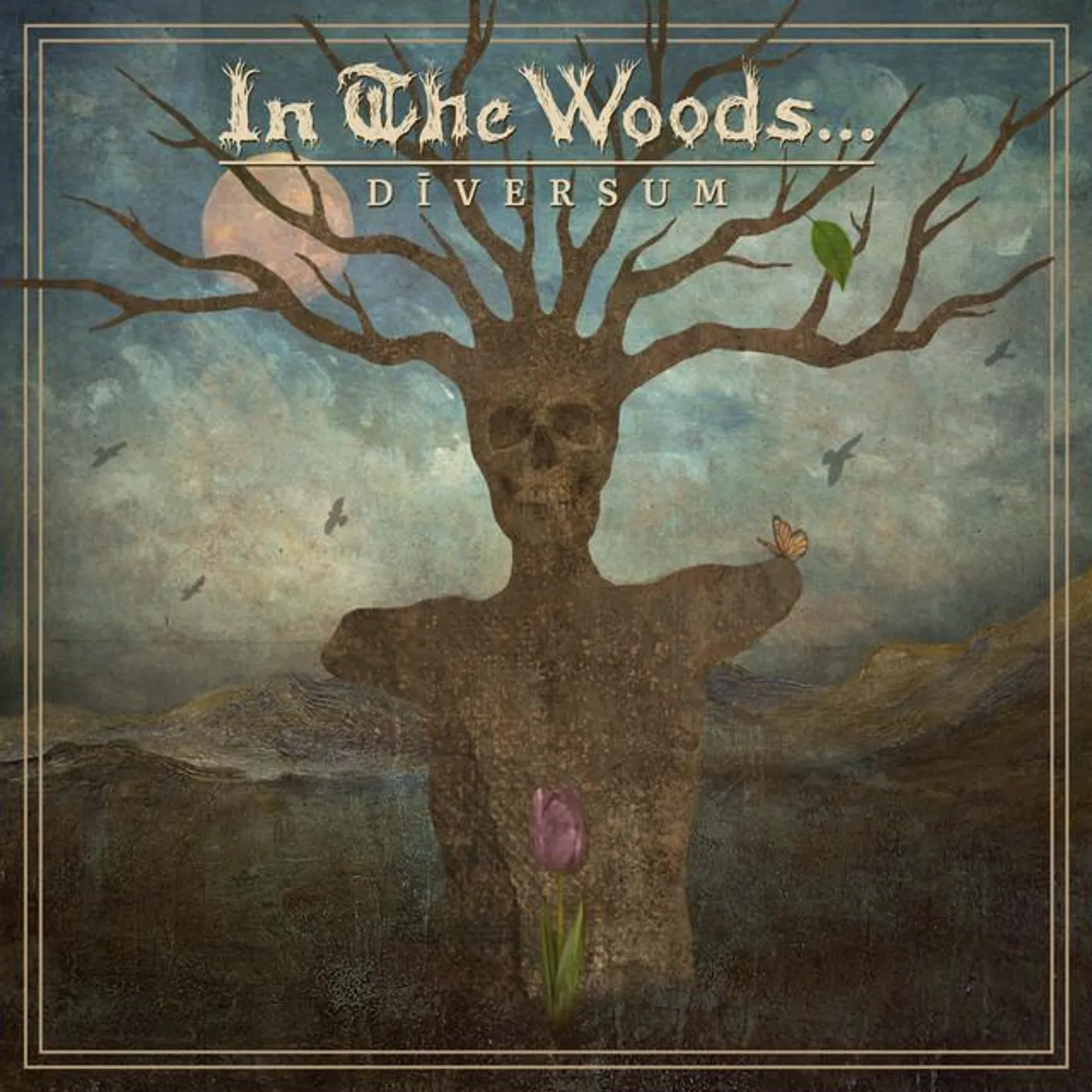 In The Woods... Brand Page