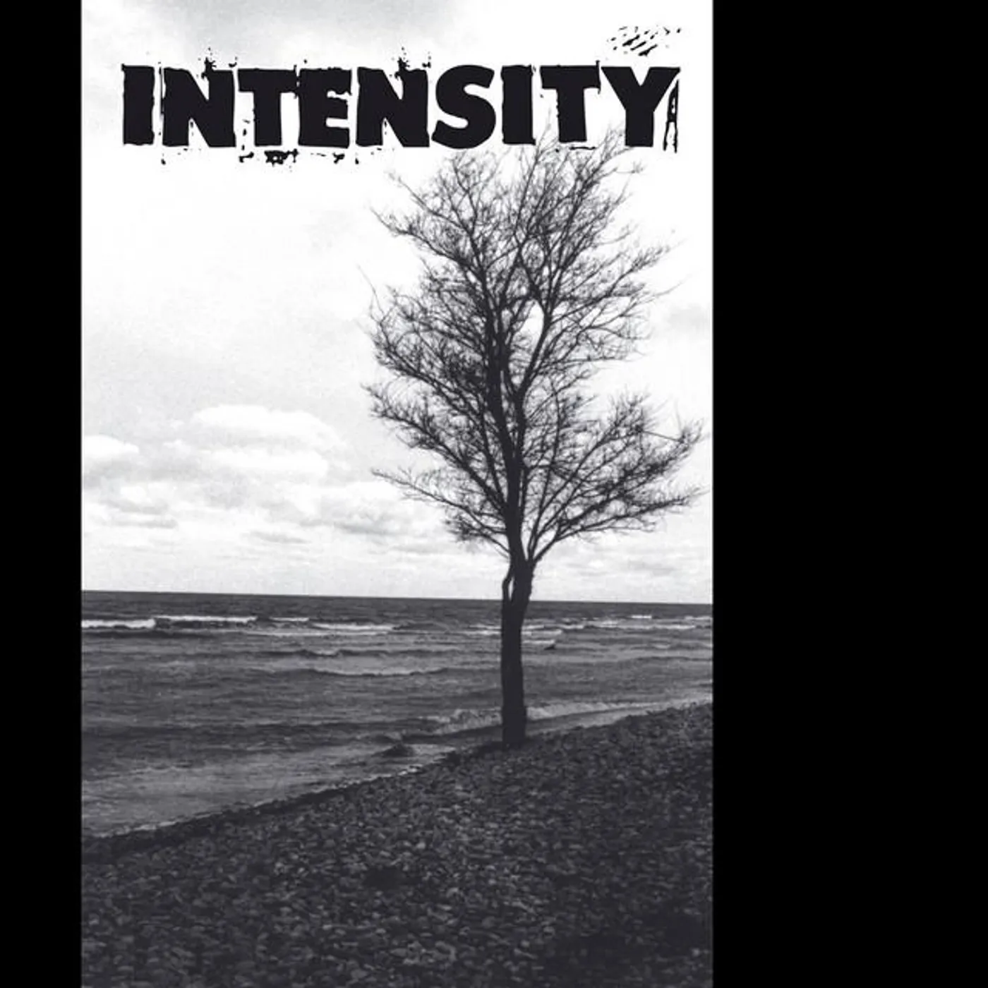 Intensity Brand Page