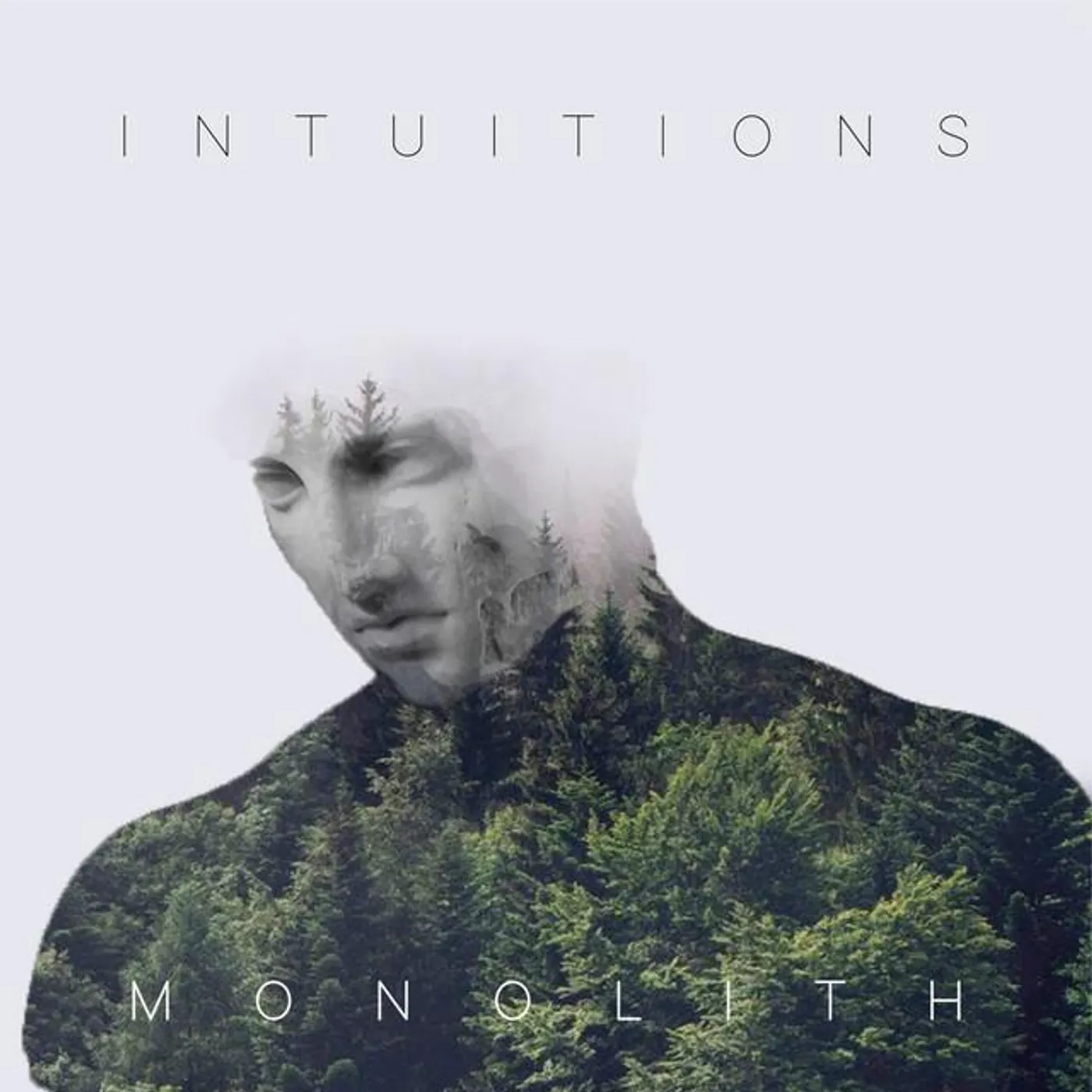 Intuitions