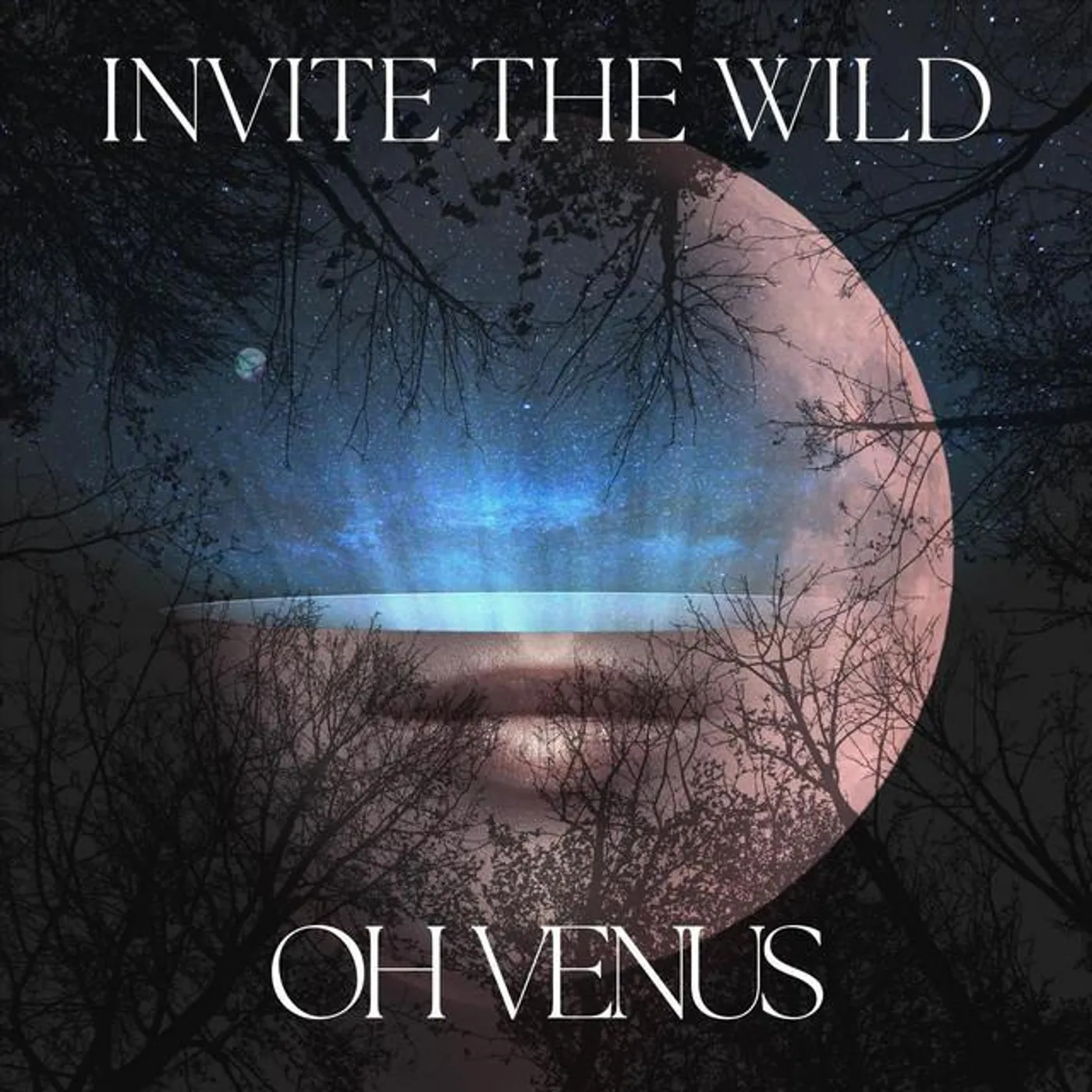 Invite the Wild