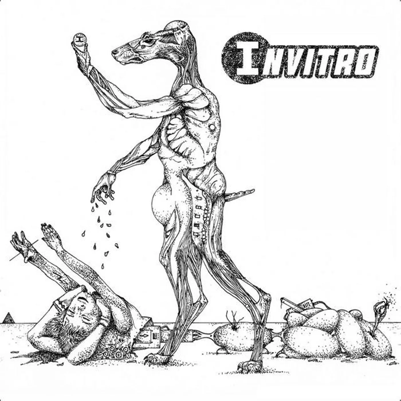 INVITRO Brand Page
