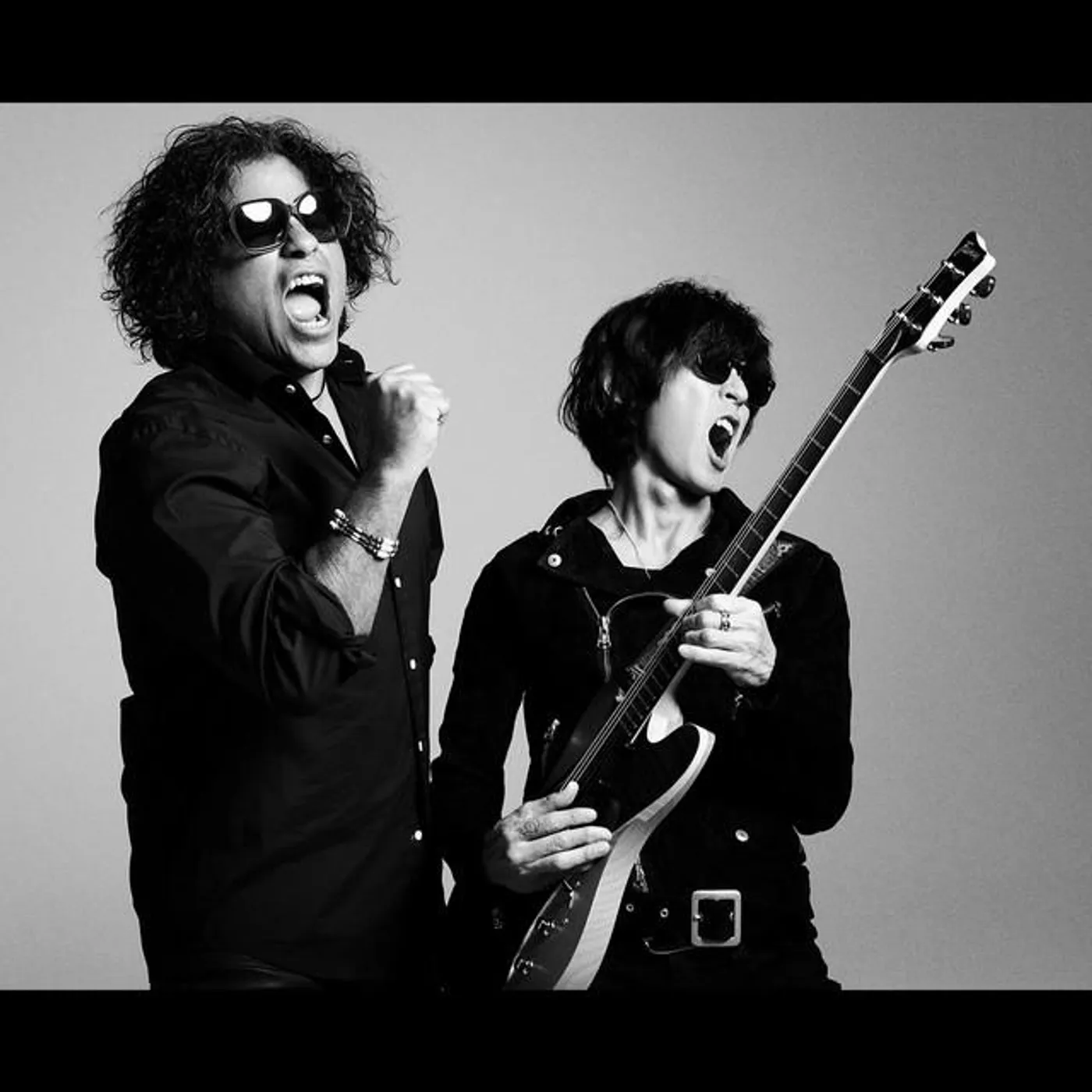 INABA / SALAS Brand Page