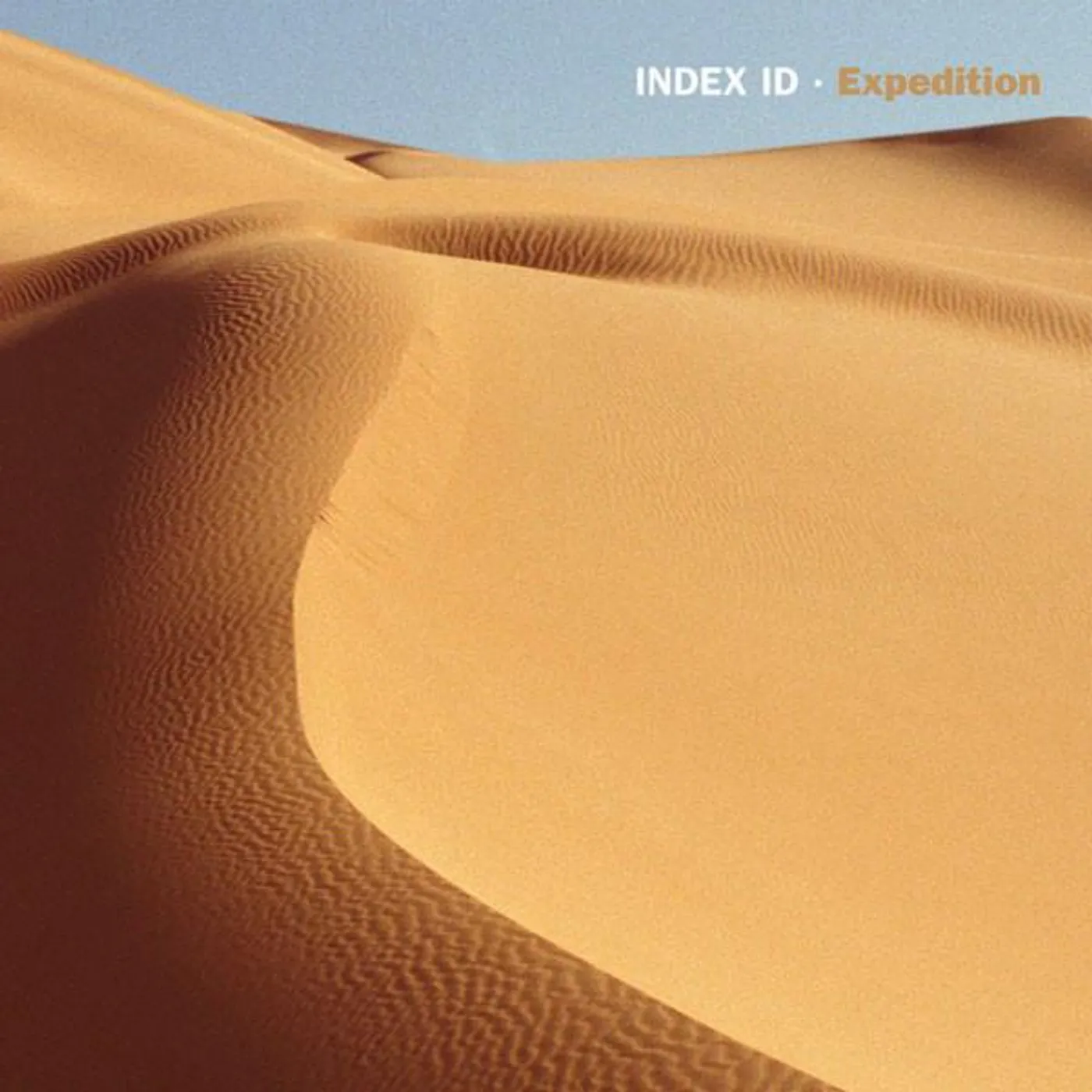 Index ID