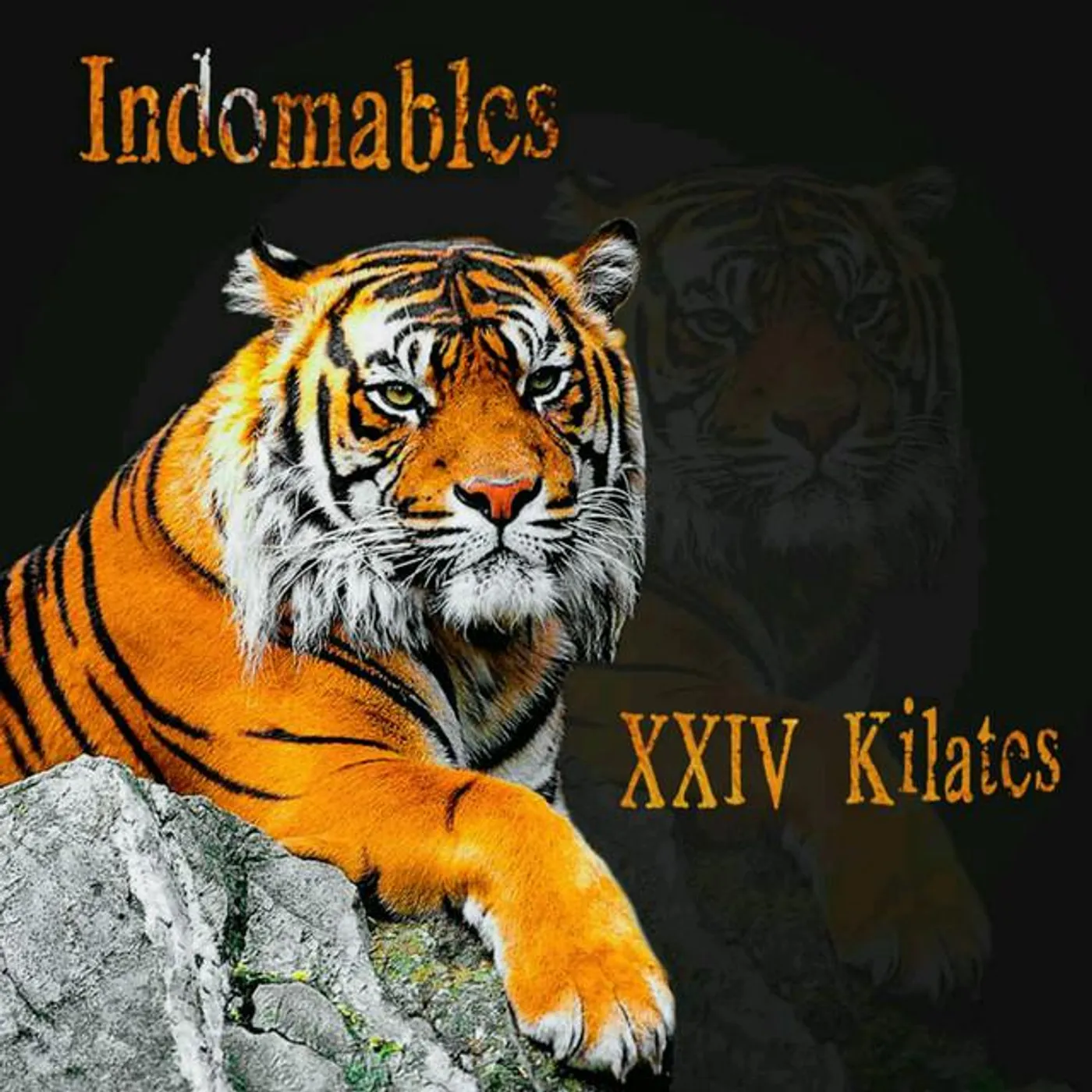 Indomables Brand Page