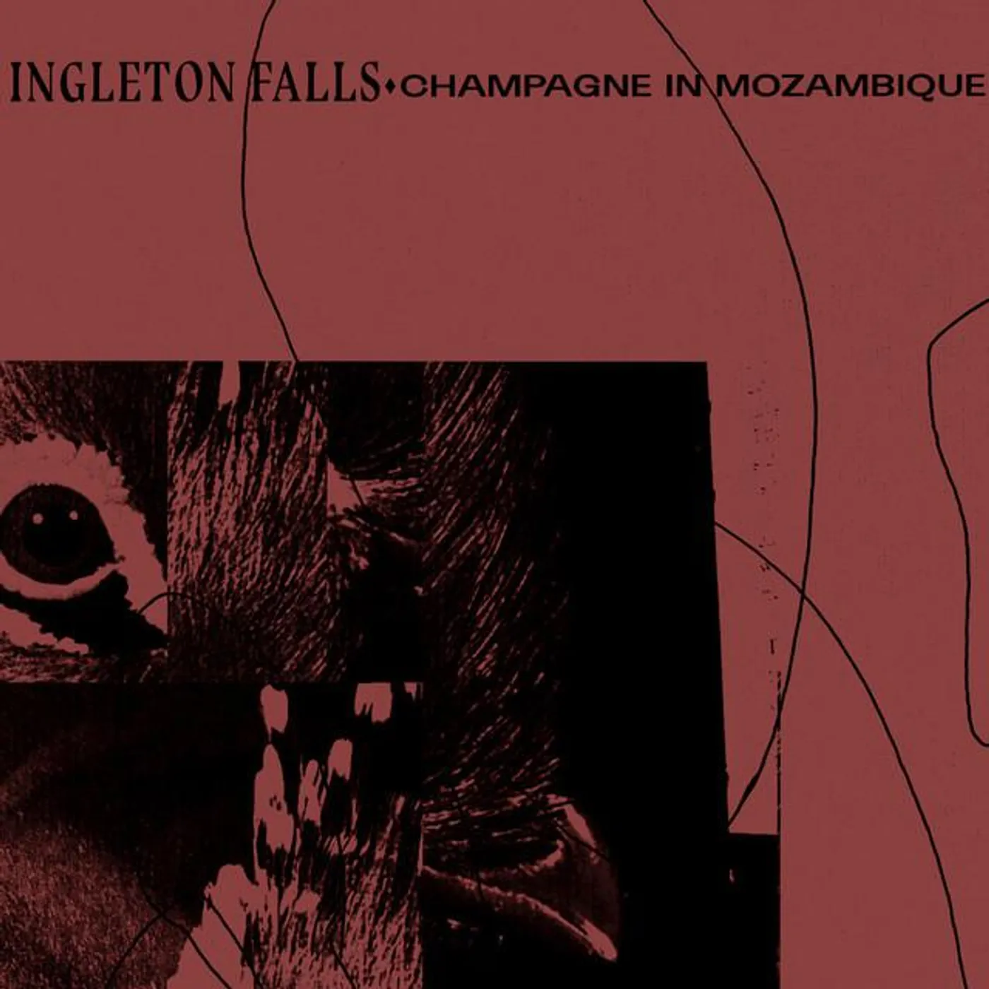 Ingleton Falls Brand Page