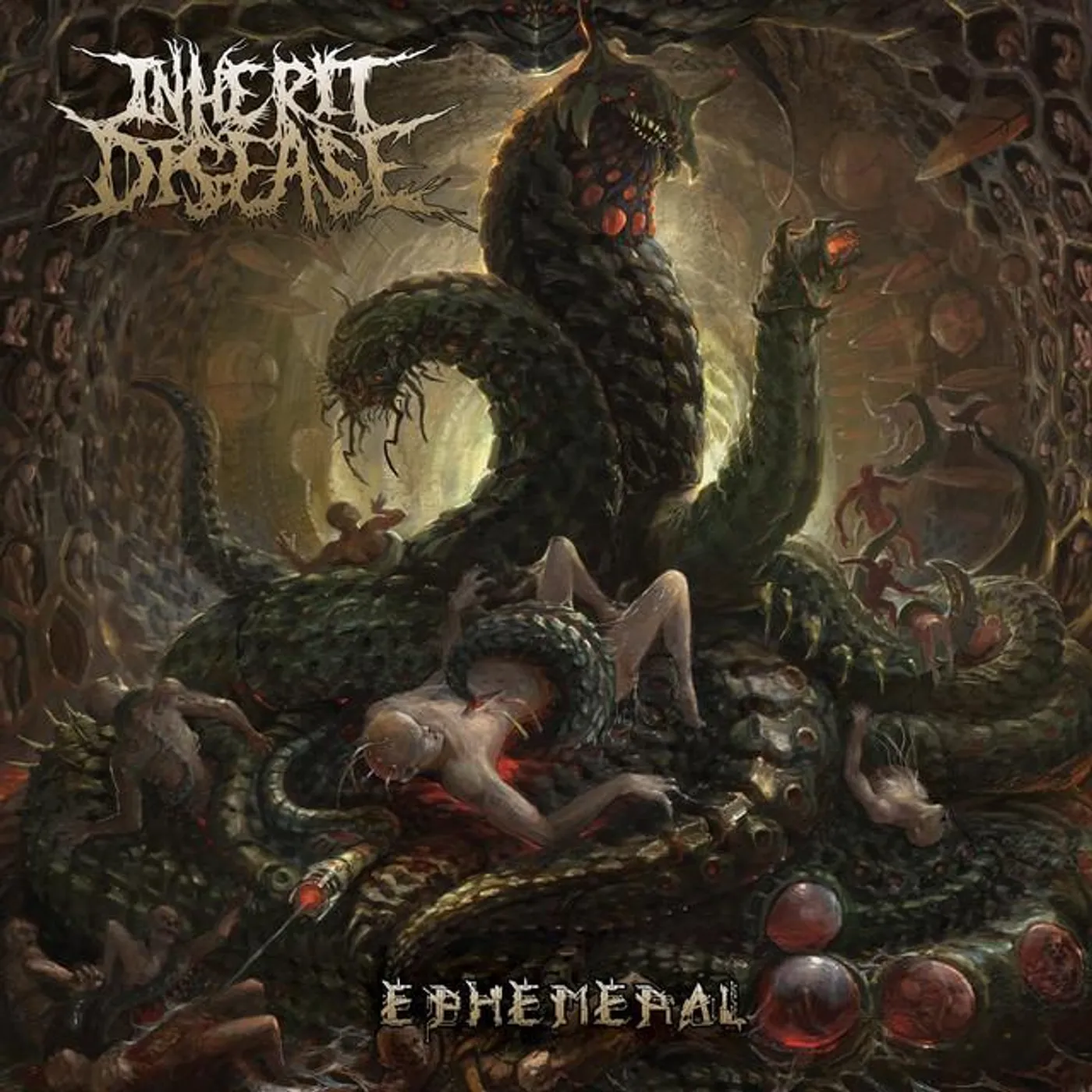 Inherit Disease