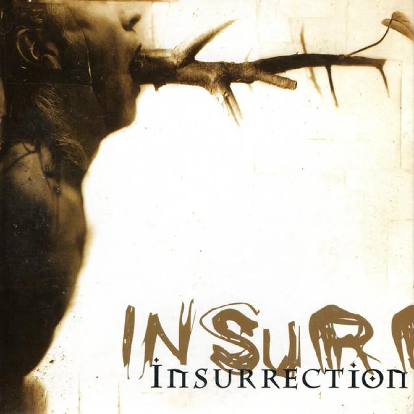Insurrection