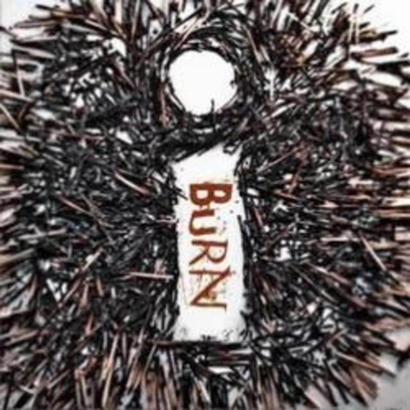 iBurn Brand Page