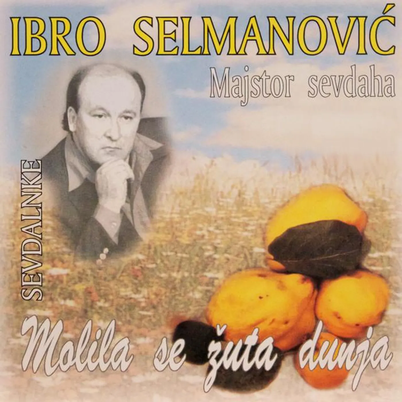 Ibro Selmanovic Brand Page
