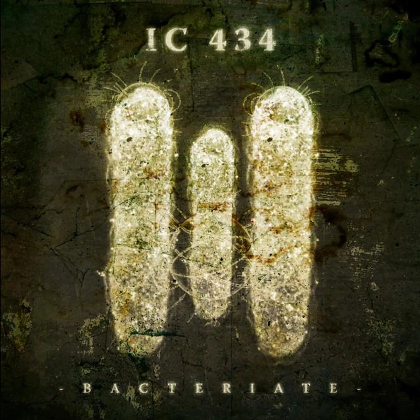 IC 434 Brand Page