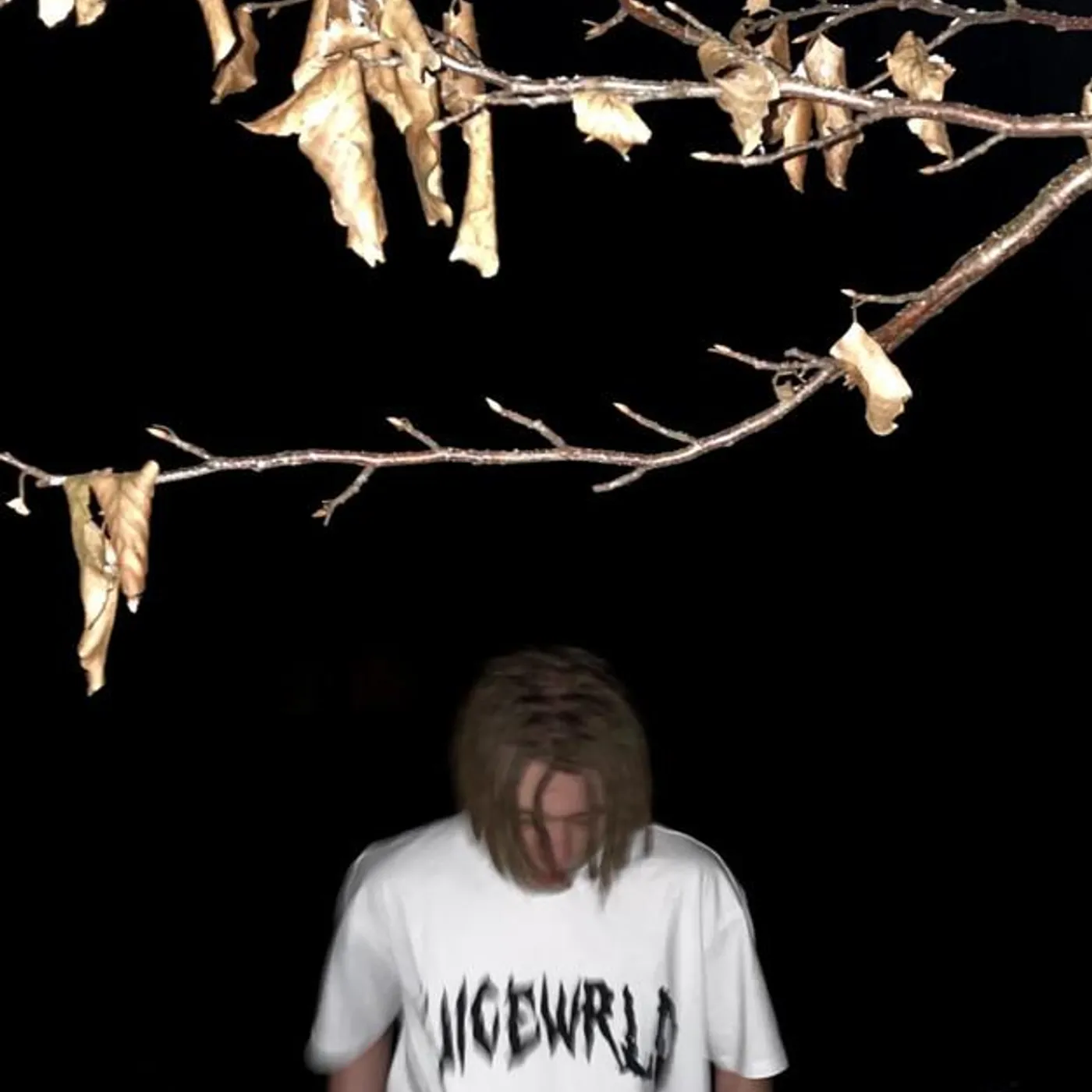 IcyNyu Brand Page