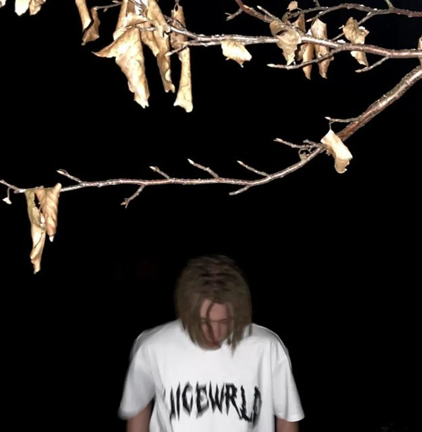 IcyNyu